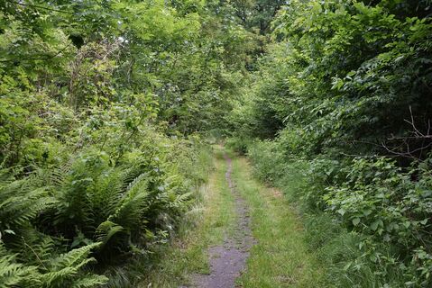 Karswald