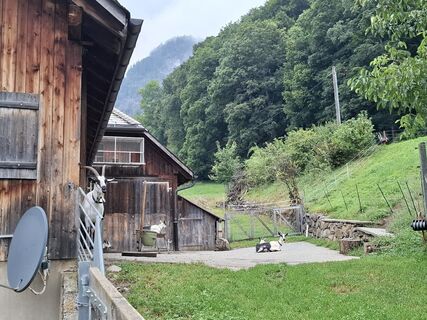 Photo de Michael Putz le long du parcours