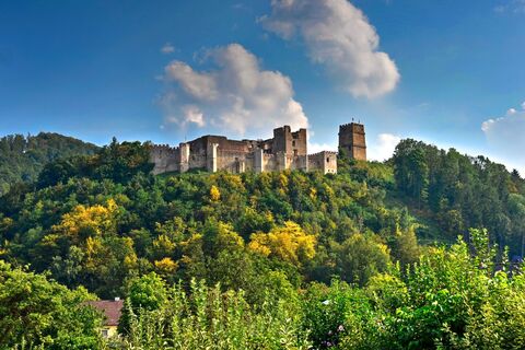 Burgruine Kirchschlag (Copyright: Alois Rasinger)
