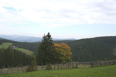 Blick vom Geburtshaus zum Hohen Wechsel