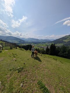 Foto de Mogli a lo largo del recorrido