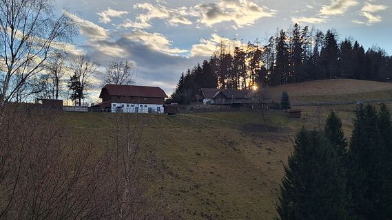 Foto von Susi Puhl entlang der Tour