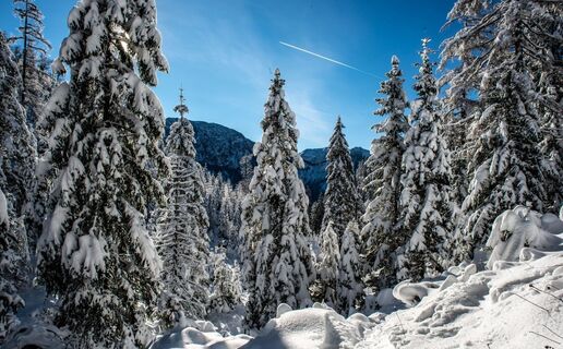 Auf die Goss in Hinterwildalpen