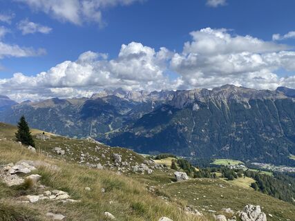 Foto från Peter Waltriny under resans gång