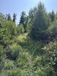 Fotografie z Momo na trase