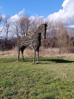 Foto de Anita Lovat a lo largo del recorrido