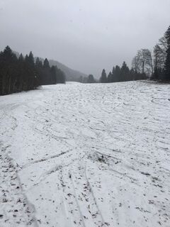 In warmen Wintern wenn die Schneekanonen nicht laufen können, schaut schon mal die Wiese raus