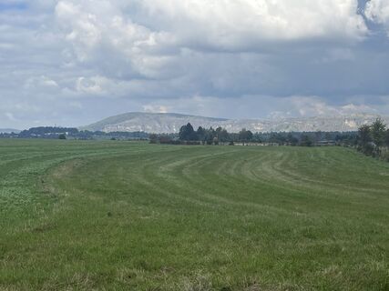 Фото с сайта Mario Zesewitz во время экскурсии