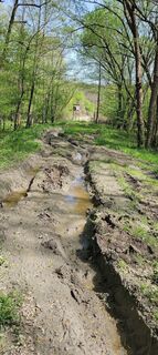 Zdjęcie z Zoltan Gregor wzdłuż trasy