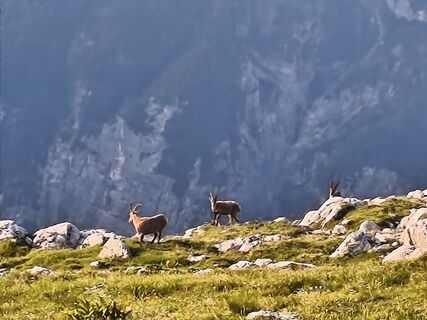 Fotografia z Marko Bešter na trase