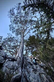 Fotografija s spletne strani Aurelian Böhler na poti