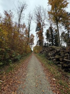 Fotó a ManCam honlapról a túra során