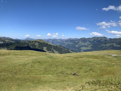 Foto da Koen De Wit lungo il tour