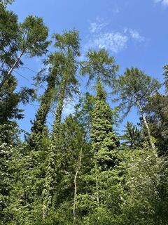 Photo from Cyrill Bischof along the tour