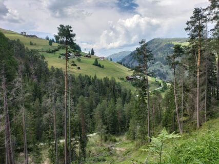 Foto von eurypelma2013 entlang der Tour