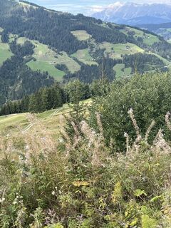 Photo de Jochen Schmidt le long du parcours