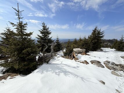 Fotografija s spletne strani Natur_erleben_dg na poti