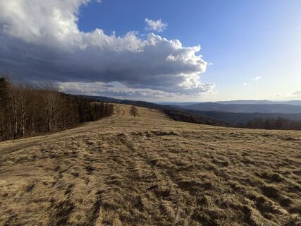 Fotografija s spletne strani Romek Dwornik na poti