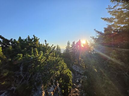Foto von MRDL entlang der Tour