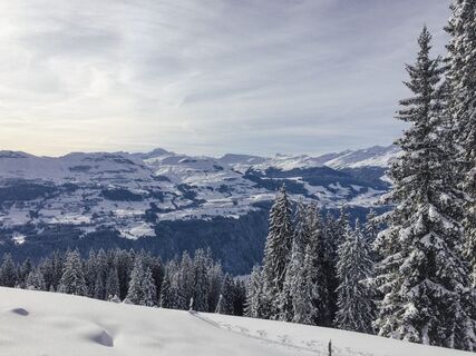 Sicht in Richtung Obersaxen