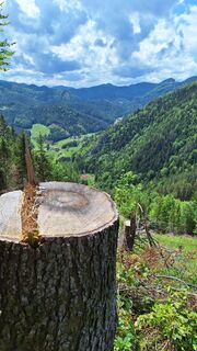 Foto från Aga M under resans gång