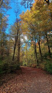 Fotografia z Regina Fleischmann na trase