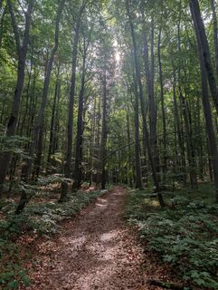 Fotografija s spletne strani HOJ_09 na poti