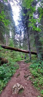 Fotografia z Ádám Horváth 6 na trase