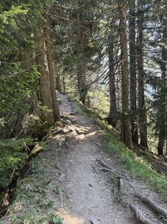 Fotografia z Gerda Pilz na trase
