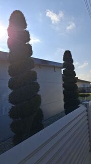 Fotografia z Erika Rossmann na trase