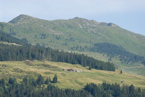 Ölbankalm mit Steinbergstein