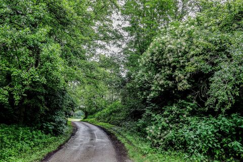 Gölshäuser Wanderwege