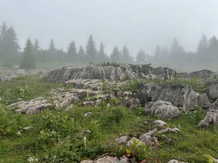 Fotografie de la Robert Kremlicka de-a lungul turului