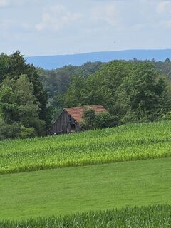 Foto de Angelika Gerung a lo largo del recorrido