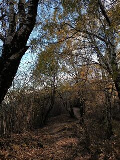 Fotografie z Aner na trase