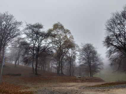 Foto von Daniele Berini entlang der Tour