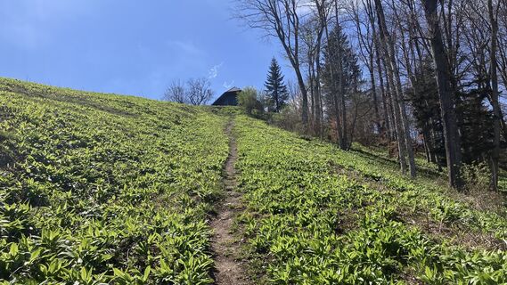 Zdjęcie z Christian Kakuska wzdłuż trasy