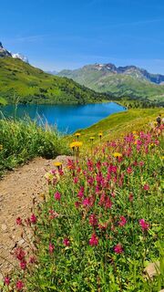 Foto von Margot Waldmeier entlang der Tour
