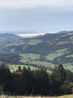 Foto von Michaela Liebrich entlang der Tour
