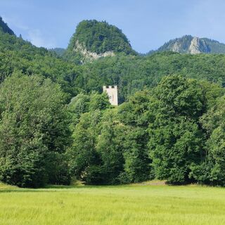 Foto da Bibergfex lungo il tour