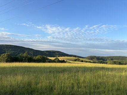 Foto de Reti Alicia a lo largo del recorrido