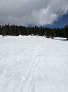 Photo de MRDL le long du parcours