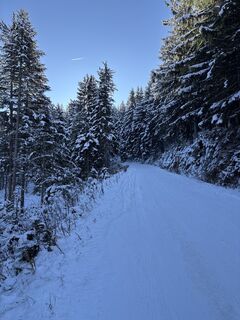 Foto från Heinz Sperl under resans gång