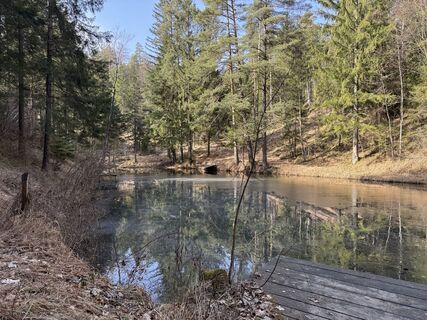 Foto från Philipp Schmidt under resans gång