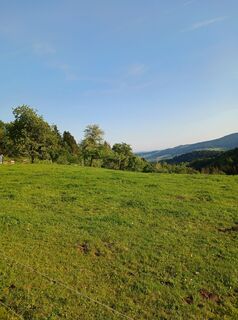 Fotografija s spletne strani Burgim65 na poti