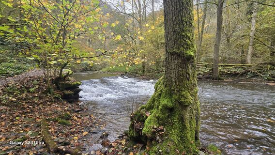 Zdjęcie z Edit Szoboszlay wzdłuż trasy