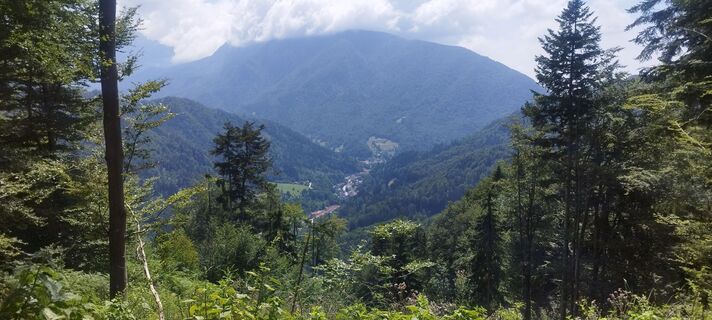 Photo de Beisteiner H le long du parcours