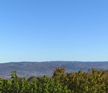 Landschaft und Natur rund um Aiguefonde