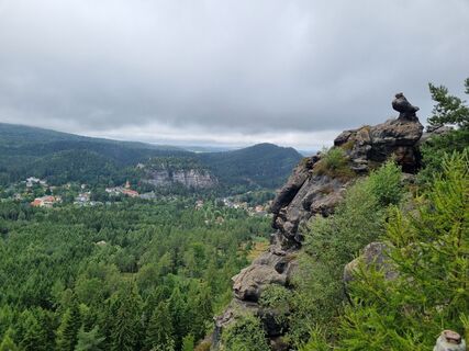 Fotografija s spletne strani Frank Vieweg na poti