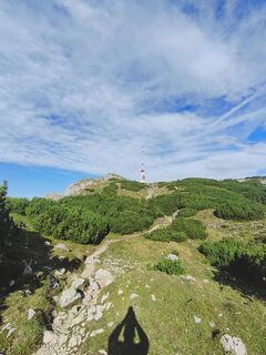 Photo de Dominik Bausch le long du parcours